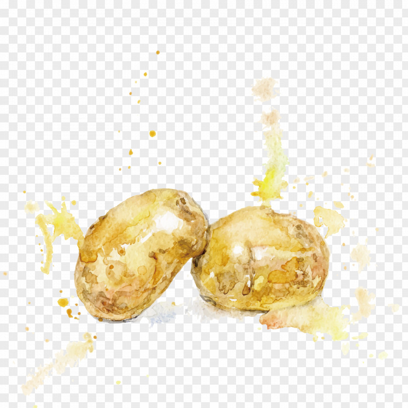 Potatoes Potato Watercolor Painting Vegetable PNG
