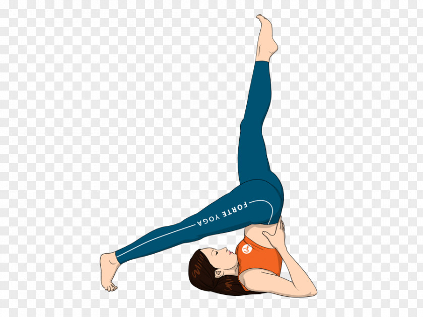 Yoga Bikram Sarvangasana Physical Exercise PNG