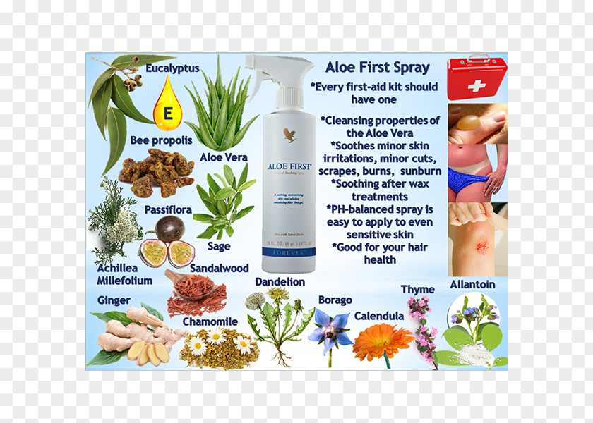 Bee Aloe Vera Forever Living Products Ltd Propolis PNG
