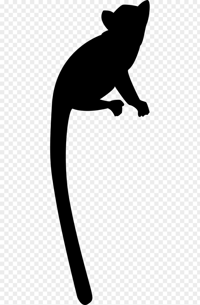 Cat Lemurs Primate Silhouette Clip Art PNG