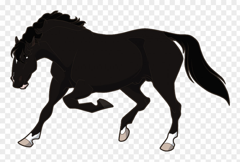 Mustang Stallion Rein Mare Pony PNG