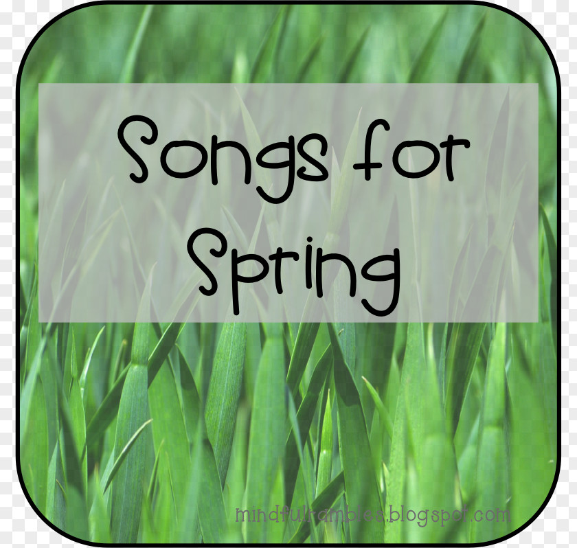 Spring Equinox Green Grasses Commodity Font PNG