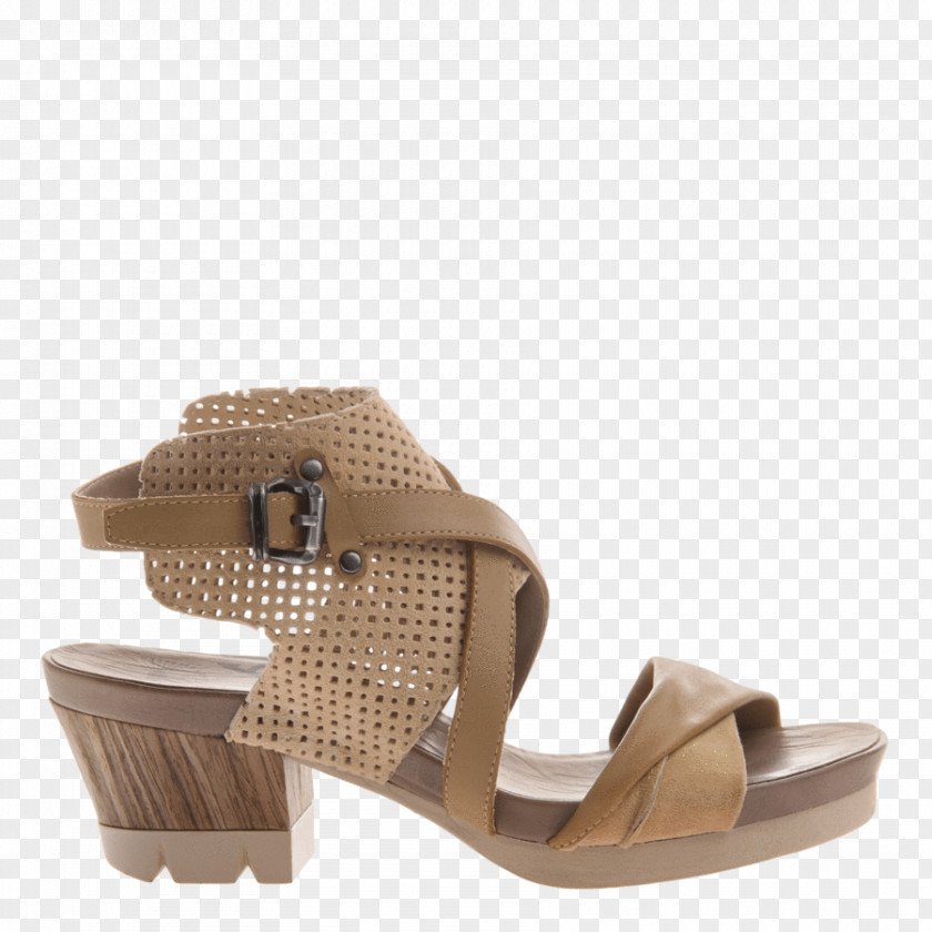 Wedge Heel Shoes For Women Product Design Sandal Shoe PNG