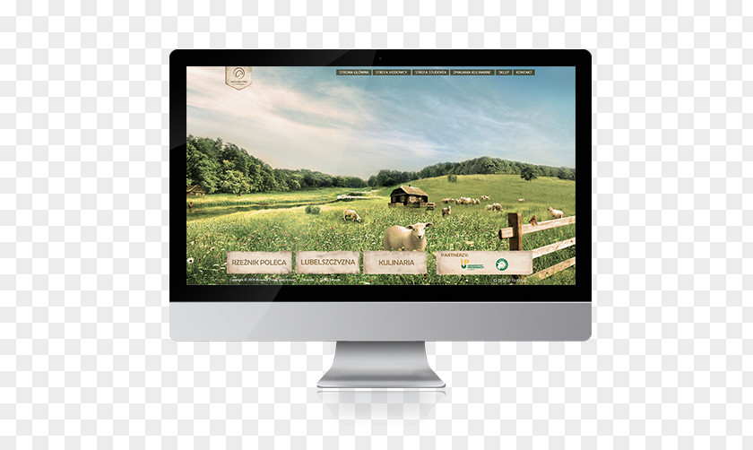 Zieliński Computer Monitors Display Advertising Multimedia Brand PNG