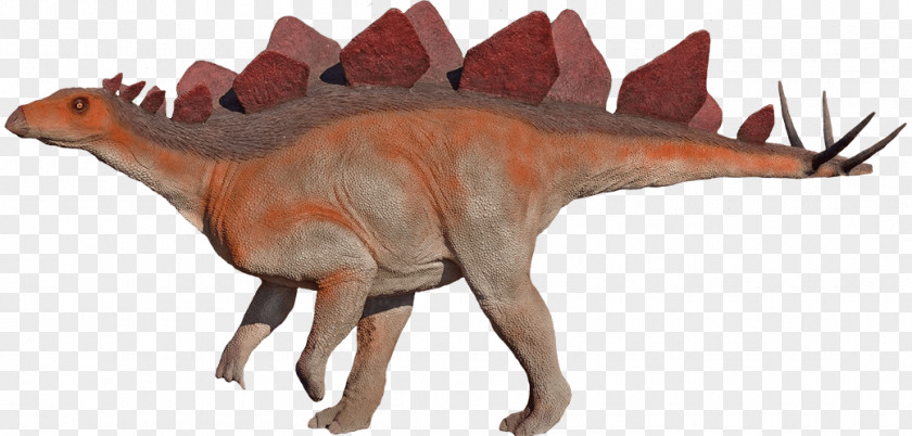 Dinosaur Moab Giants Velociraptor Hesperosaurus Stegosaurus Morrison Formation PNG