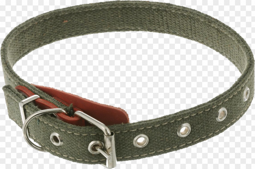 Dog Collar Clip Art PNG