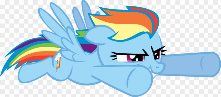 My Little Pony Rainbow Dash Twilight Sparkle Rarity Pinkie Pie PNG