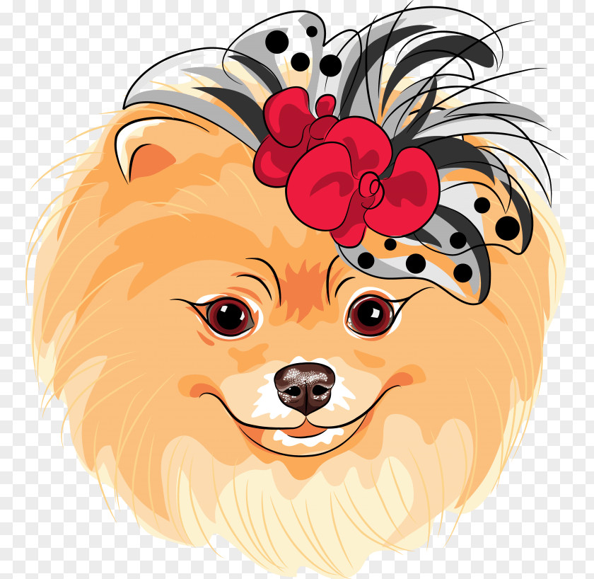 Puppy Pomeranian German Spitz Great Dane PNG