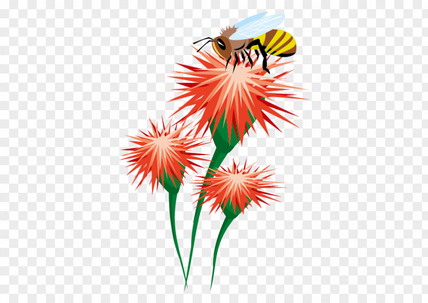 Vector Flowers Bee Honey Insect Bumblebee PNG