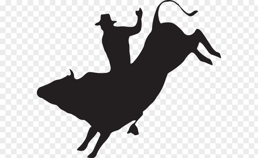 Bull Riding Decal Rodeo Sticker PNG