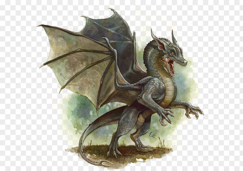 Dungeons And Dragons & Chromatic Dragon Eragon Forgotten Realms PNG