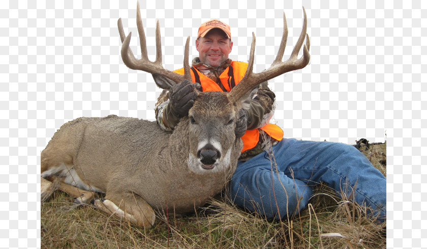 Deer White-tailed Hunting North Dakota PNG