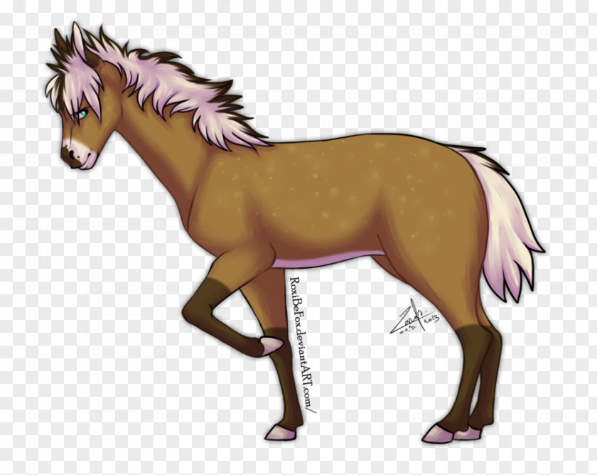 Mother Children Foal Pony Horse Stallion Drawing PNG