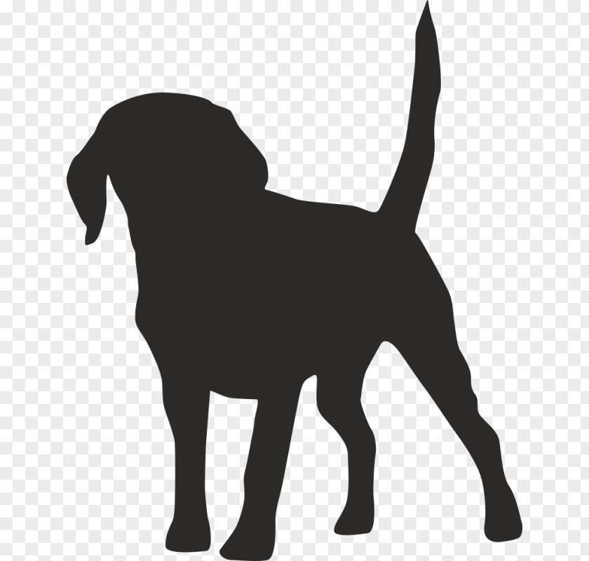 Puppy Dalmatian Dog Dachshund Grooming Wall Decal PNG