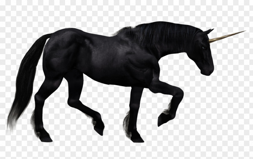 Unicorn The Black Pegasus Horse PNG
