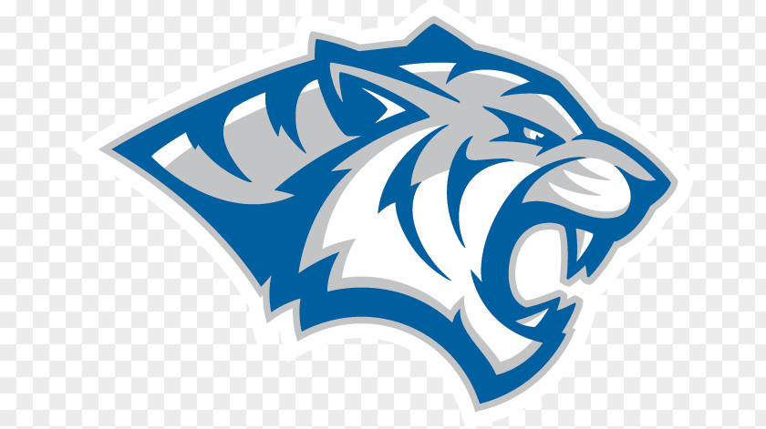 Athletic Sports Dakota Wesleyan University Presentation College Concordia University, Nebraska Tigers Women's Basketball State PNG