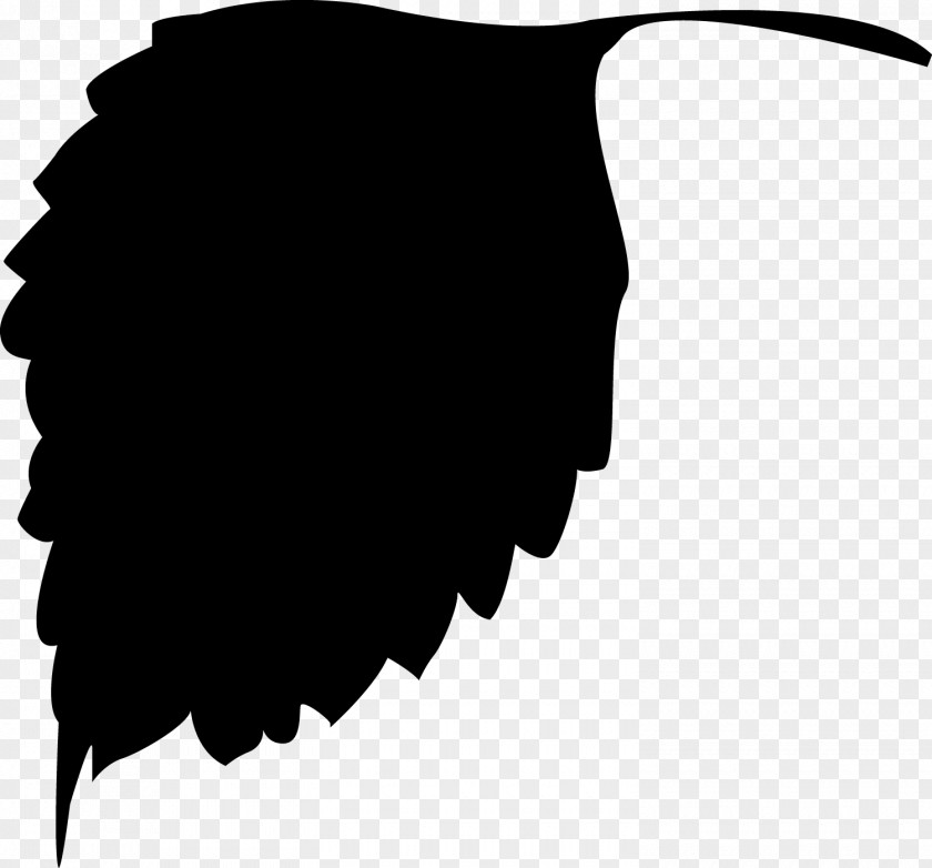 Plant.leaf Silhouette Leaf Clip Art PNG