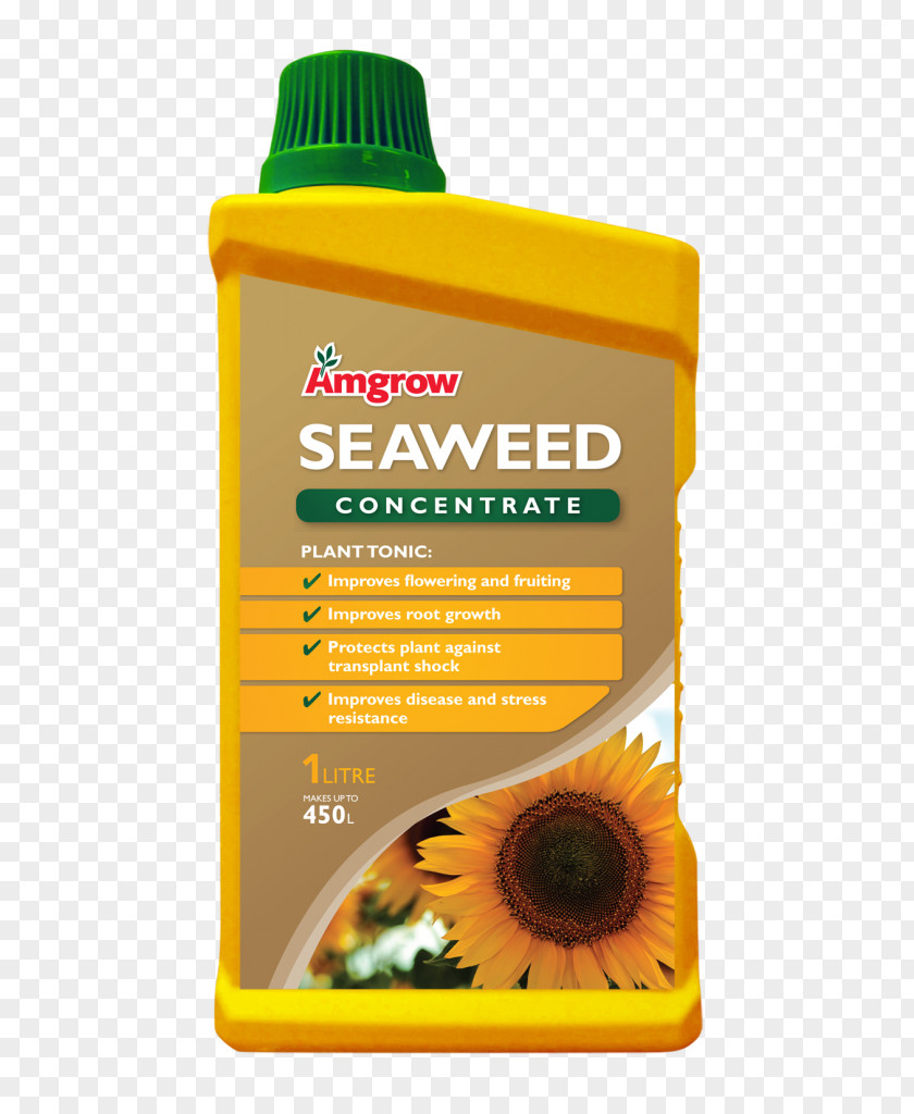 Seaweed Cosmetics Fertilisers Liquid Bullwhip Kelp PNG