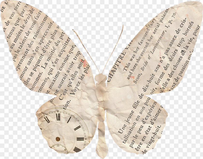 Shabby Butterfly Paper Vintage Clothing Scrapbooking Drawing PNG