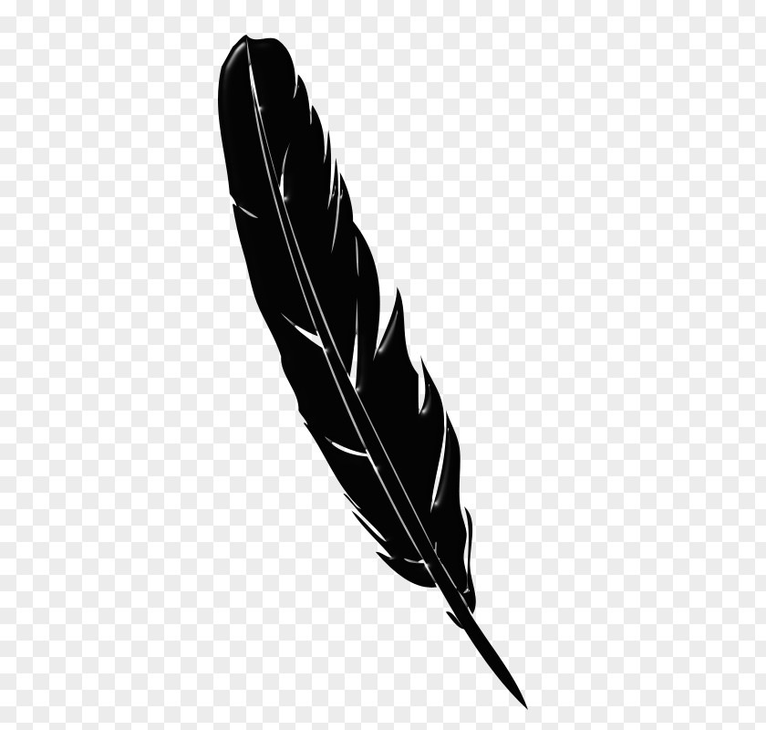 Tbc Banner Quill Pen Vector Graphics Feather PNG