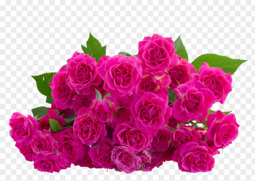 Bouquet Flower Garden Roses Animation PNG