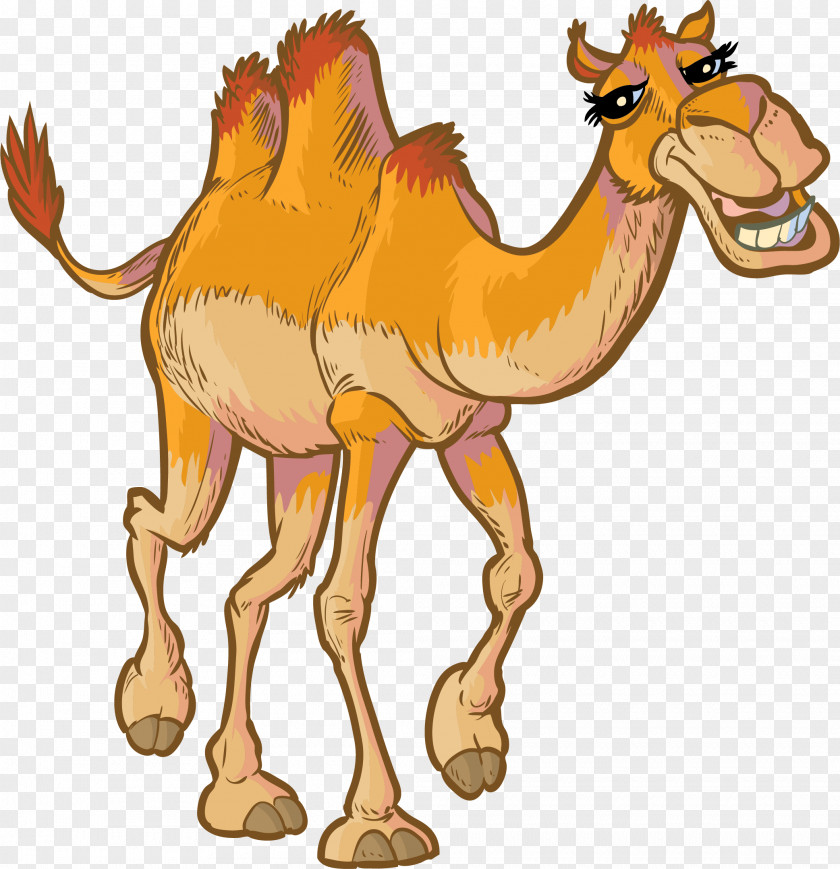 Camel Stock Photography Royalty-free Clip Art PNG