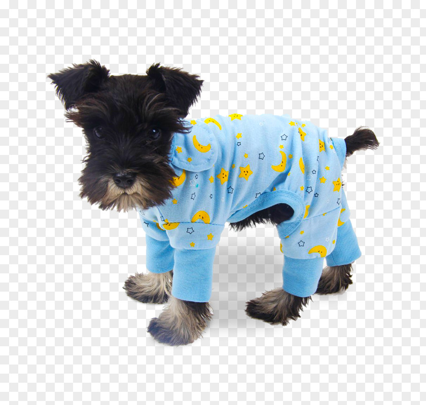 Dog Claw Free Buckle Chart French Bulldog Puppy Hoodie Clothing Pajamas PNG