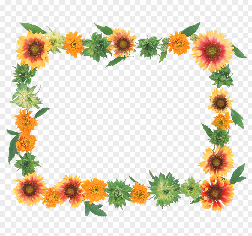 Frame Flowers Flower Picture Frames PNG