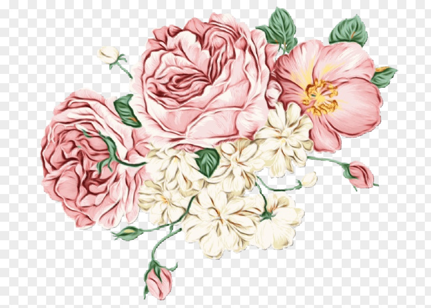 Prickly Rose Camellia Watercolor Flower Background PNG
