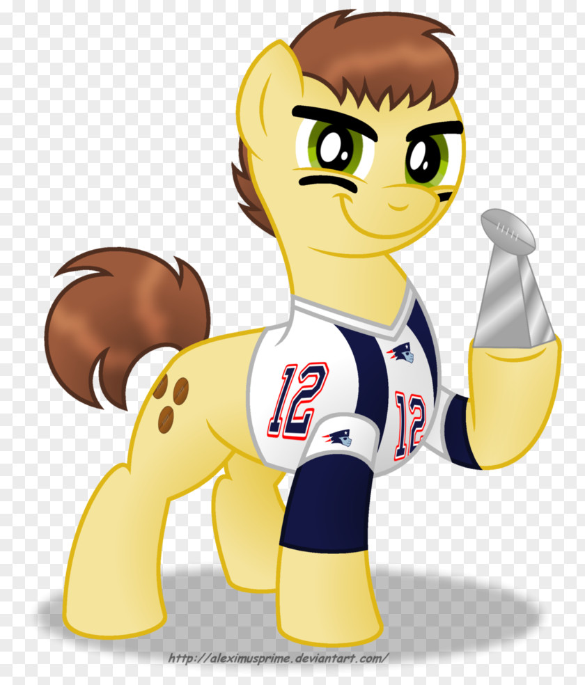 Tom Brady Go Patriots Pony New England NFL Super Bowl Clip Art PNG