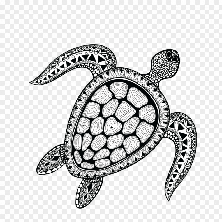 Turtle Sea Totem Indigenous Australians Symbol PNG