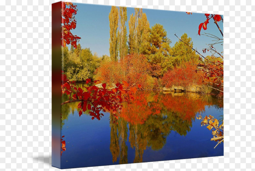 Autumn Price To Maple Leaf Gallery Wrap Canvas Art Photography PNG
