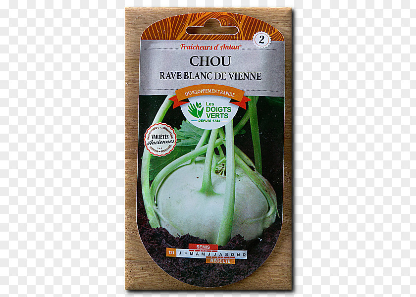 Chou Kohlrabi Vegetable Acephala Group Vinaigrette Lbiocompost Sarl PNG