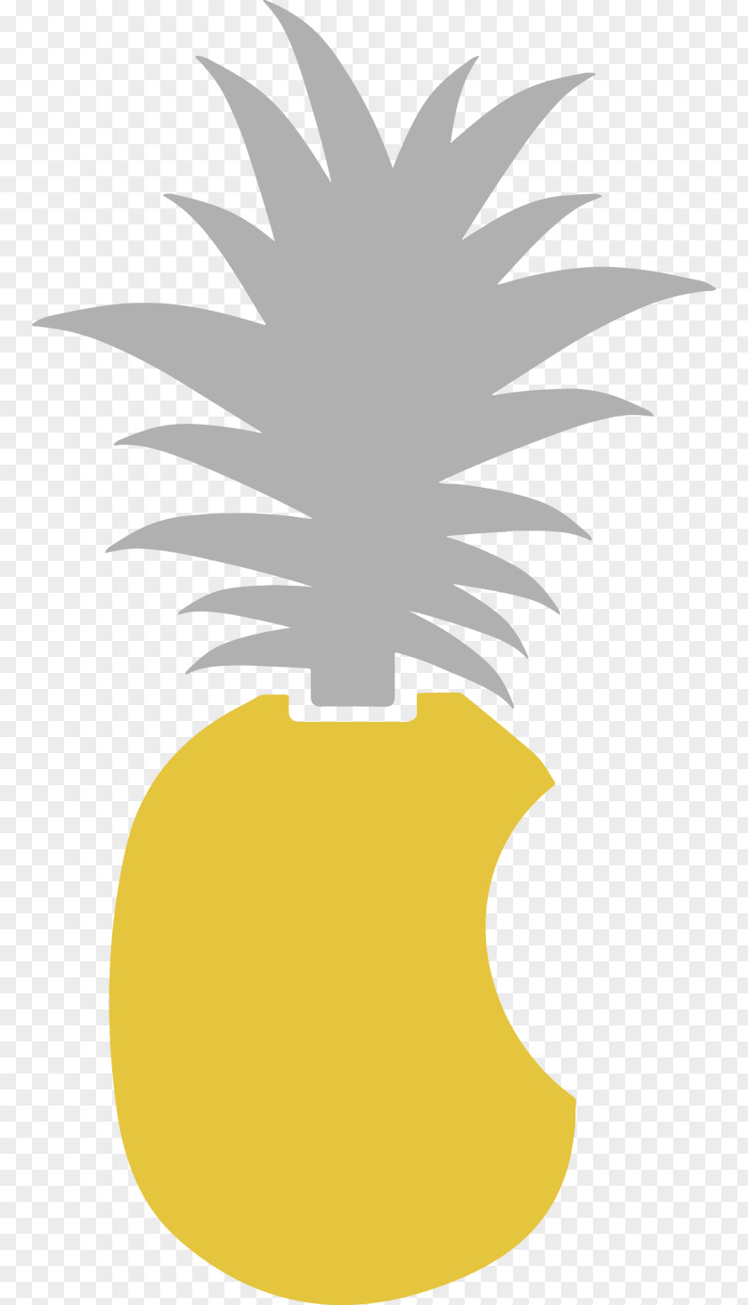 Pineapple Logo Carnivora Flowering Plant Fruit Clip Art PNG