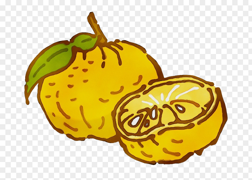 Squash Vegetarian Cuisine Yellow Commodity PNG