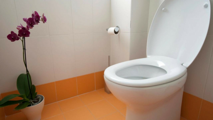 Toilet & Bidet Seats Bathroom Toto Ltd. PNG