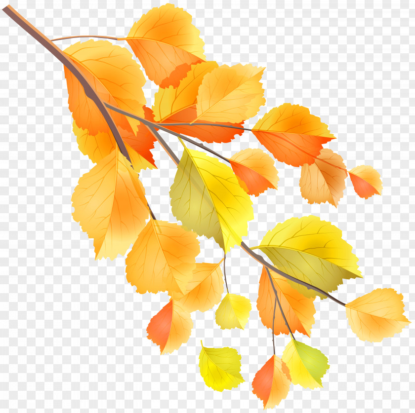 Autumn Branch Clip Art Image PNG