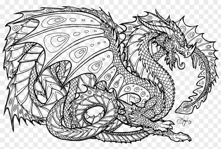 Dragon Coloring Book Child Adult Fantasy PNG
