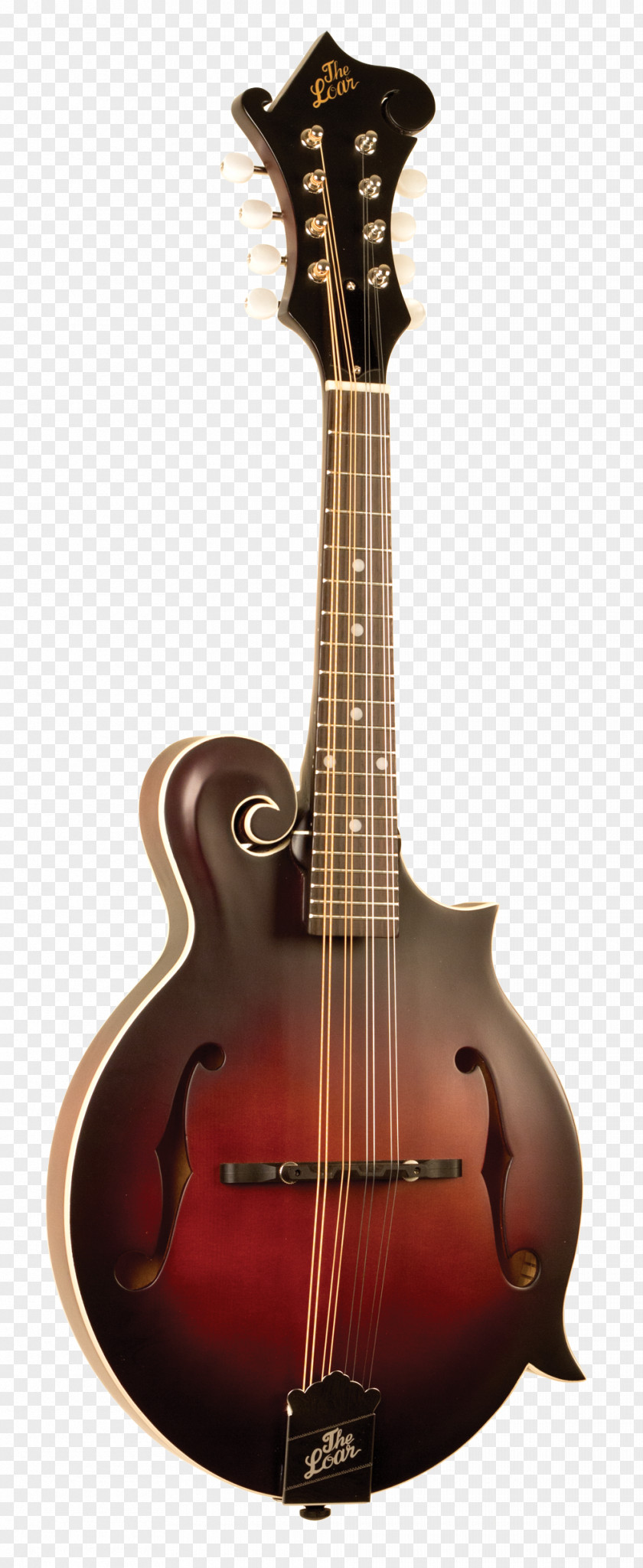 Musical Instruments Mandolin The Loar LM-520 Guitar Neck PNG