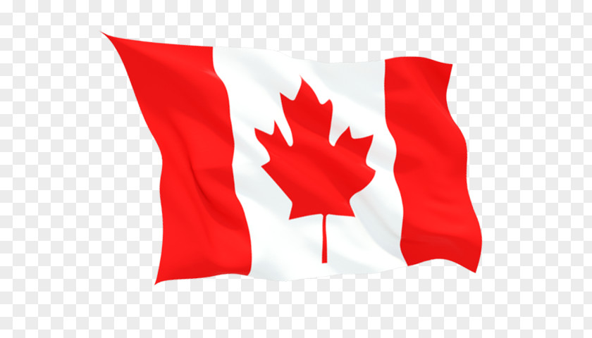Study In Canada Flag Of Maple Leaf O PNG