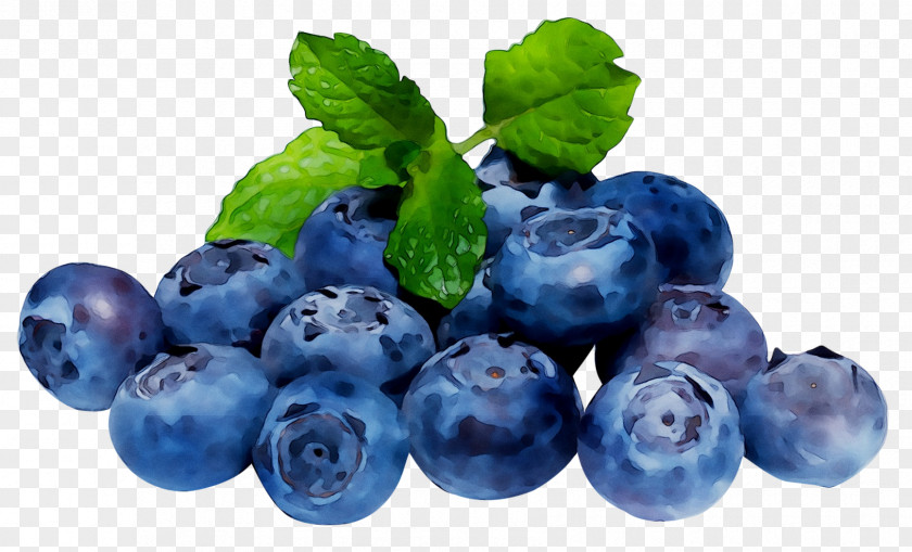 Blueberry Pie Cheesecake Tea American Muffins Tart PNG