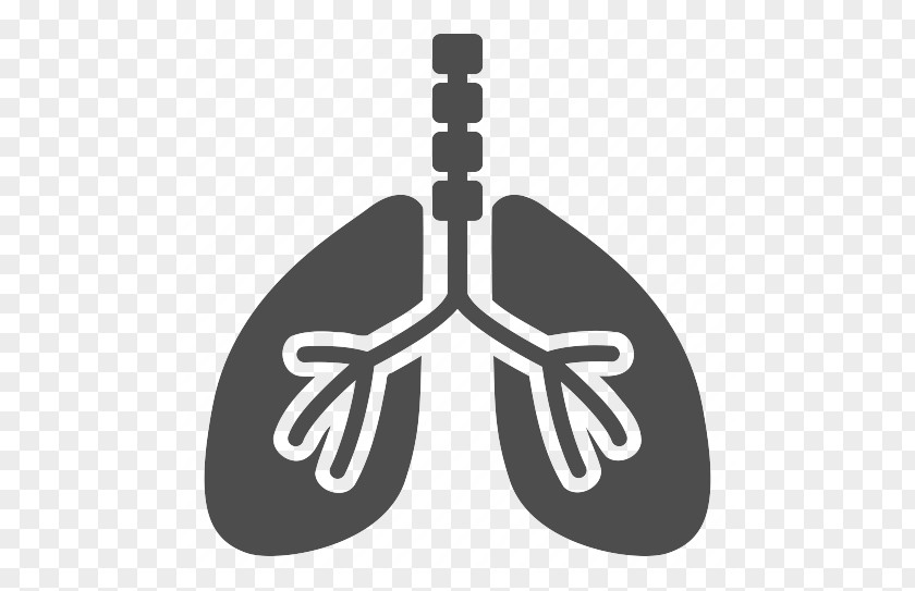 Cervicogenic Headache Vector Graphics Lung Respiratory System Illustration Respiration PNG