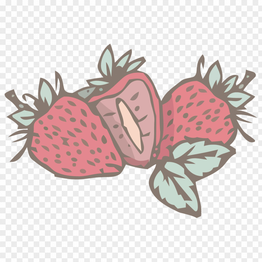 Hand-painted Vector Material Strawberry Fruit Euclidean PNG