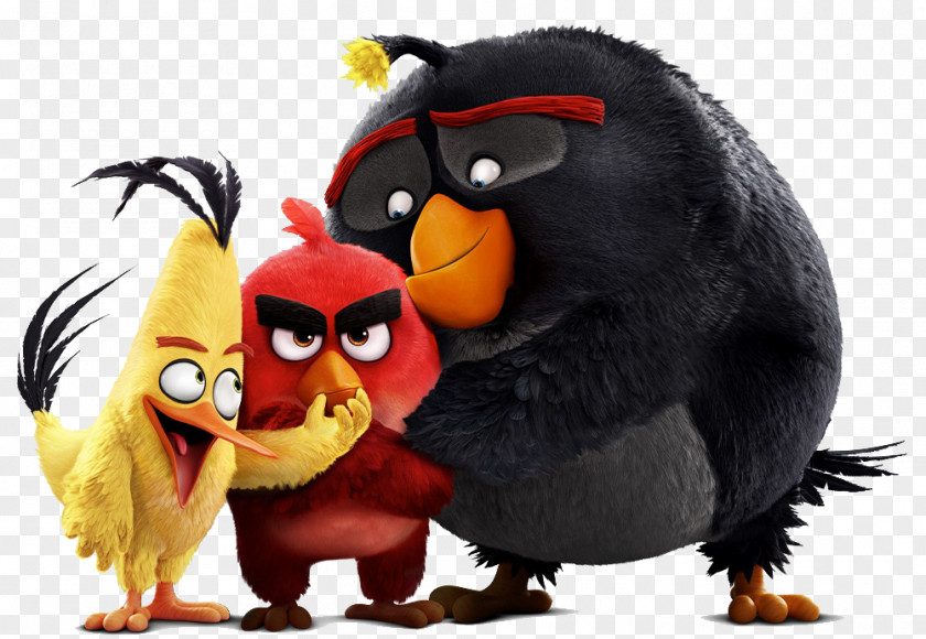 Angry Birds POP! Animated Film Mural Wallpaper PNG