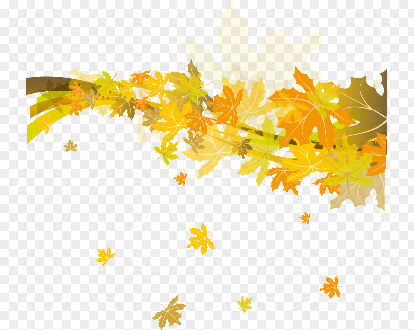 Beautiful Autumn Leaves CorelDRAW Template PNG