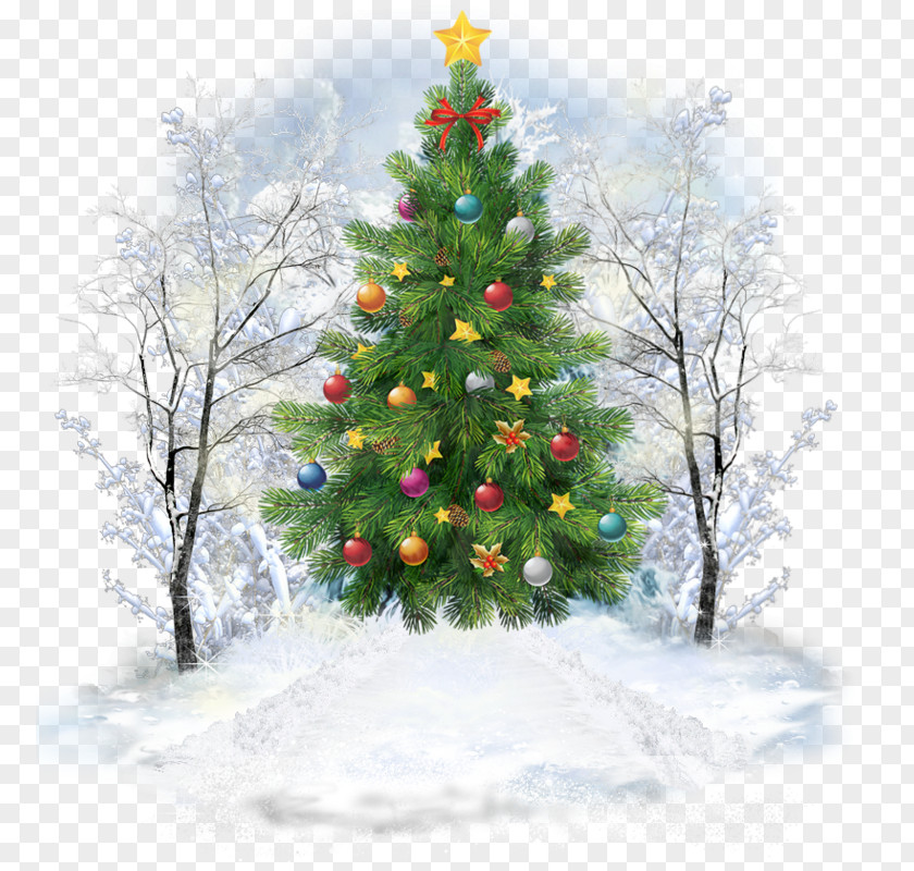 Christmas Tree Day Santa Claus Image PNG