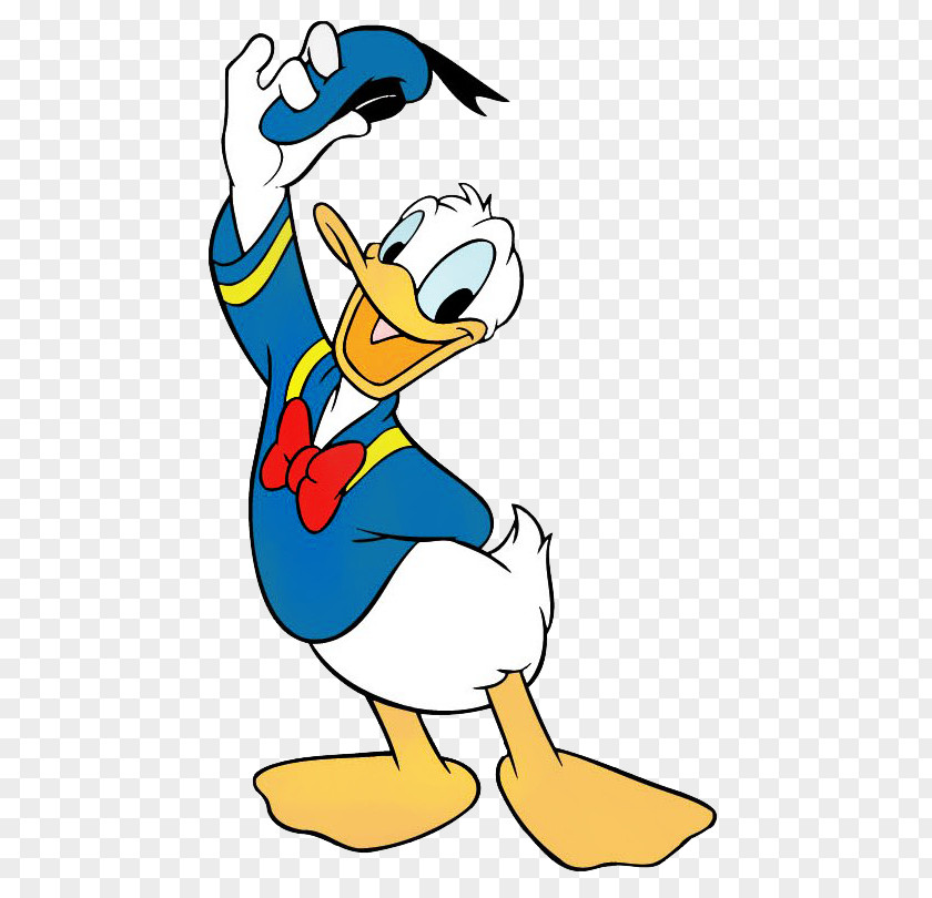 Donald Duck Daisy Daffy Mickey Mouse Cartoon PNG