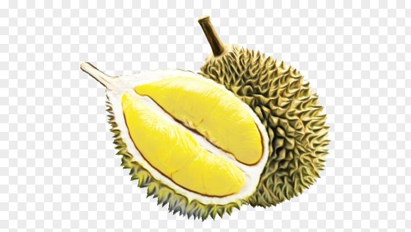 Durian Fruit Food Yellow Artocarpus PNG