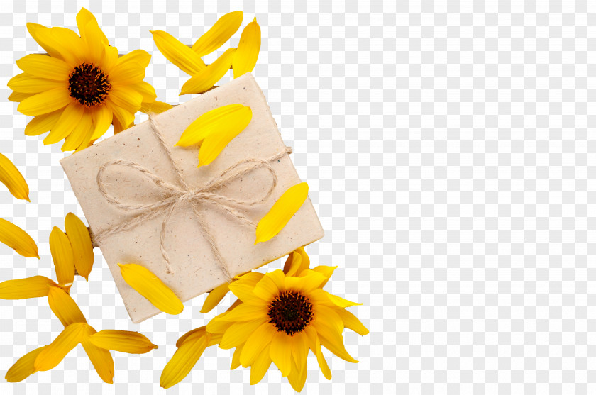 Gift Download Flower PNG