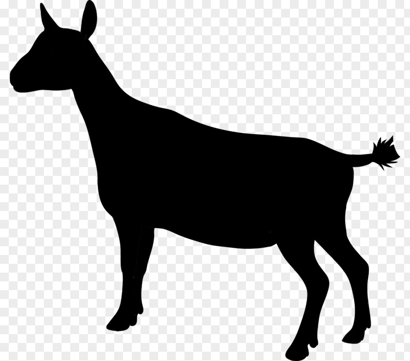 Goat Mustang Cattle Donkey Sheep PNG